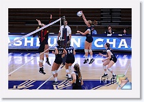 Volleyball vs PittSt * (303 Slides)